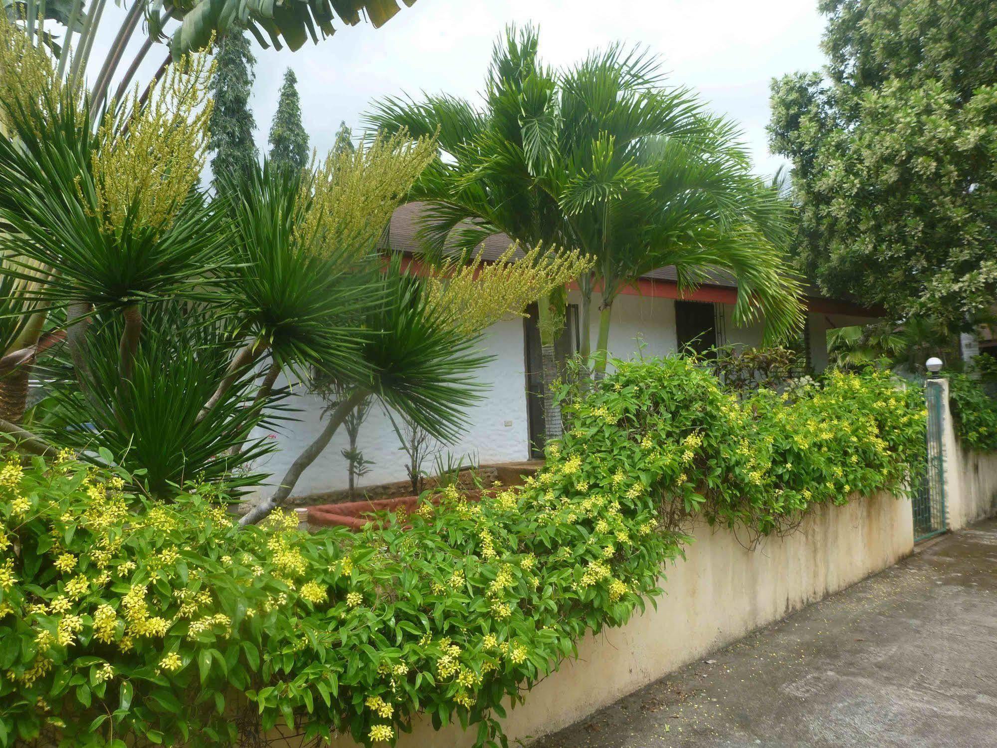 Tiptop Hotel, Resto And Delishop Hotel Panglao